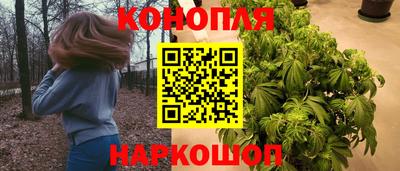 шишки Можга